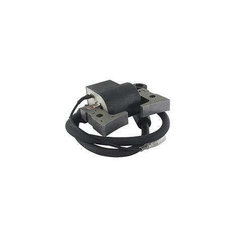 Bobina Di Accensione Compatibile Con Subaru Robin EY28 EY280, Sostituisce 234-70124-21/41, Accessorio Durevole