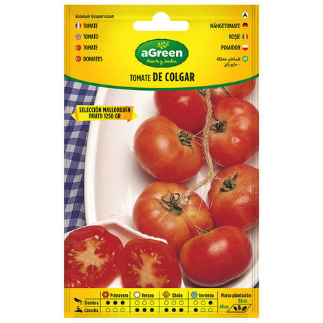 Sachet graines Tomate fournaise HF1