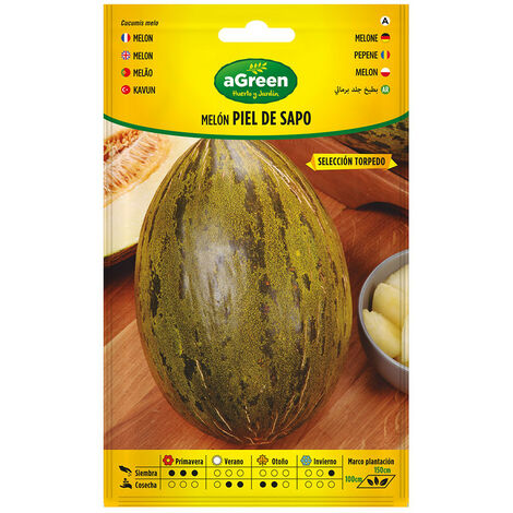 Graines Melon Piel De Sapo Melon D'été à Chair Sucrée - Agreen (1/2)