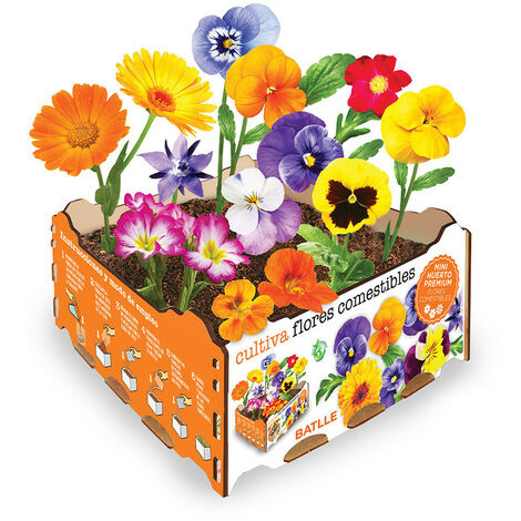 Boîte de fleurs comestibles – 3 variétés – Exposition ensoleillée – Période de semis printemps – Couleurs vives pour plats raffinés (1/2)