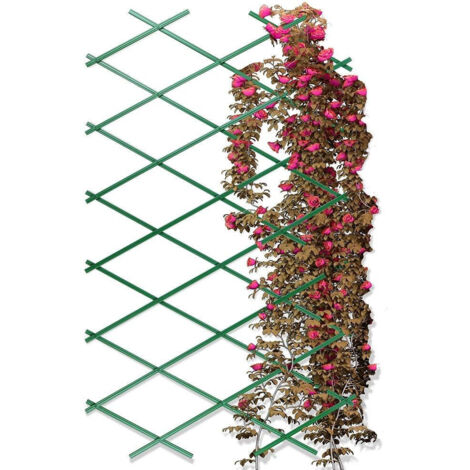 Mesh Pliable Vert Progarden Soutien Plantes Pliable - Ipae Progarden (1/5)