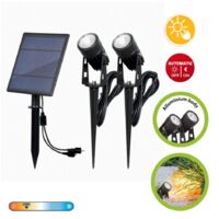 Lot De 2 Spots Blackbird