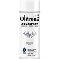 Aérosol Technima Aquaspray Oléron Mat Incolore 400ml - Technima