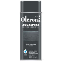 Aérosol Technima Aquaspray Oléron Gris Ardoise Satiné 400ml - Technima