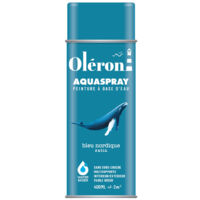 Aérosol Technima Aquaspray Oléron Bleu Nordique Satiné 400ml - Technima