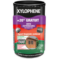 Traitement bois multi-usages 5L + 20% gratuit – Protection préventive et curative contre insectes et champignons – Action rapide et longue durée