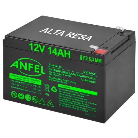 batteria piombo 12v 14ah ermetica (VRLA), adatta per UPS Gruppi di Continuita', Videosorveglianza, Sistemi di allarme, mobilita' elettrica, giocattoli, attacco faston F2 6,3mm