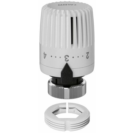 Régulateur thermostatique pour radiateurs thermostatiques Caleffi 199000CNT Blanc (1/2)