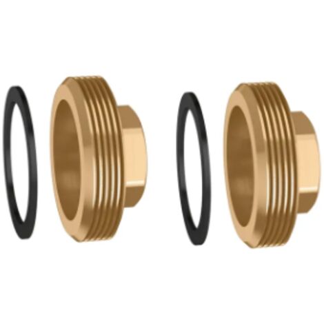 Paire de bouchons avec joint pour shunts non utilisés Caleffi 559001 1 1/2"M