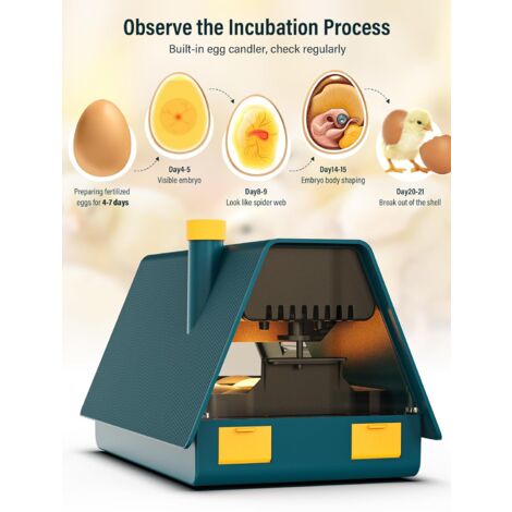 10 Oeufs Couveuse Oeuf Automatique,Incubateur Oeuf,Couveuse Automatique Retourneur d'oeufs automatique,Contrôle de la température et Affichage de l'humidité