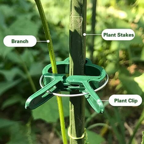Clips Pour Plantes Lot De 100 - Support Pour Tomates Et Vignes