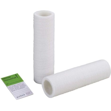 Cartouche Filtrante De Rechange Grünbeck 103075 Taille 80 µm. 2000 Sans