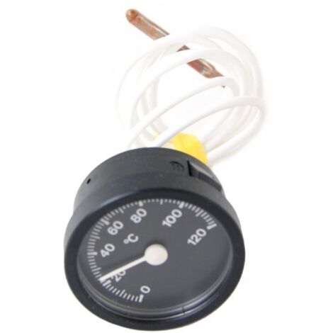 Vaillant Thermometer 101534 Vaillant no. 101534 (1/2)