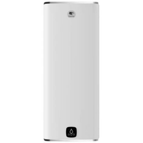 Elektrischer Warmwasserbereiter MALICIO 3-Platten 65L weiÃŸ Mehrposition THERMOR 231064 (1/5)