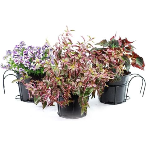 Bussdis 1 Support Pour Plantes, Support En Métal Robuste Pour