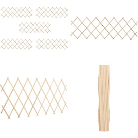 Treillis En Bois Extensible Pour Plantes Grimpantes - Clôture Décorative De Jardin Anti-corrosion & Insectes