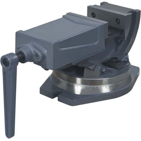 Étau inclinable à 2 axes 100 mm - étau -  'étaux - Home & Living
