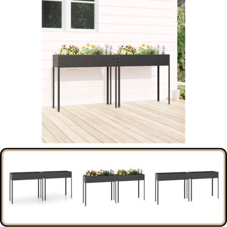 VidaXL Jardinières 2 Pcs Bois Massif Douglas 837421 - Jardin