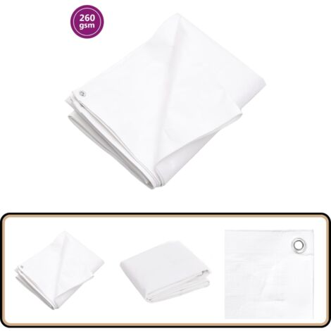 Bâche transparente avec œillets 4x6 m PVC