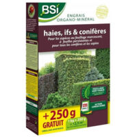 BSI - Engrais Organo-Minéral - Bio - Haies, Coniferes - Pour Feuillages Persistants Et Coniferes - 1Kg - Plus 250g gratuit - 12,5m²