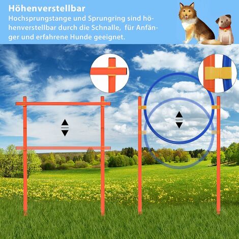 LZQ Agility Ausrüstungs Set Für Hunde, Hürde Tun Produktbild-Vorschau 7