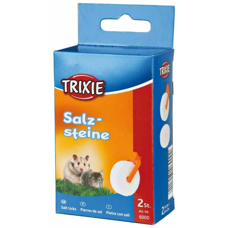 Pierres de sel avec support 2 × 54 g