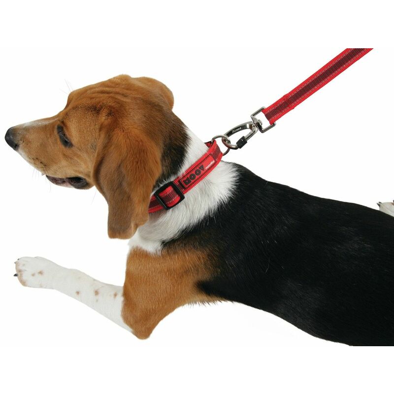 Laisse Chien – Zolux Ceinture Jogging Moov