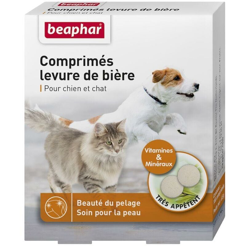 Beaphar - 100 Comprimés levure de bière pour chien et chat - Complément  alimentaire - Renforce la beauté du pelage - Soin pour la peau - Riche en