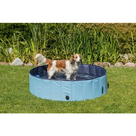 Piscine rigide pliable pour chien : la boutique de Lucien