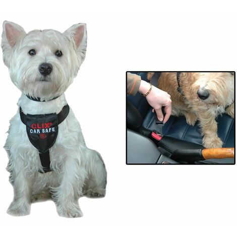 Nouvelle ceinture de sécurité pour chien XL, ceinture de sécurité