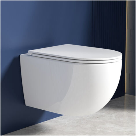Rainsworth Wand-WC ohne Entsorgungsrand, Toilettenschüssel und geräuschlose Spülung, Toilettenschüssel und WC-Sitz mit automatischem Absenkmechanismus, weiß, Länge 48 cm.