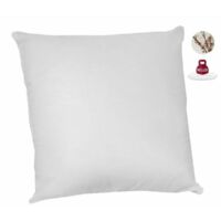Lote de 2 almohadas antialérgicas - 60 x 60 cm - 100% algodón ecológico - ABEIL