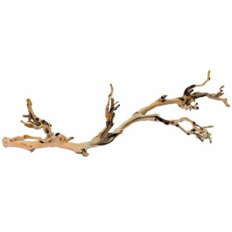 Accessorio per terrario Exo Terra PT3077A1 Terrario