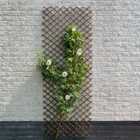 Traliccio da Giardino 60x180 cm Salice Naturale Marrone Nature