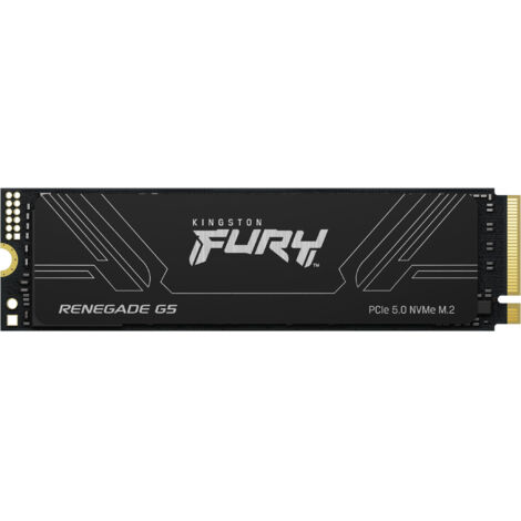 Kingston Technology 1T FURY RENEGADE G5 M.2 2280 NVMe SSD (1/5)