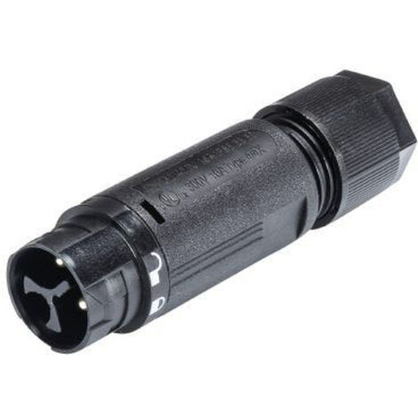 Wieland Electric 46.032.4553.1 Rundstecker Stecker, gerade Gesamtpolzahl: 2 + PE Serie (Rundsteckver