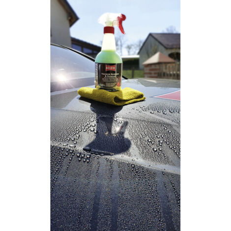 Ballistol 25086 Trockenreiniger 750 ml
