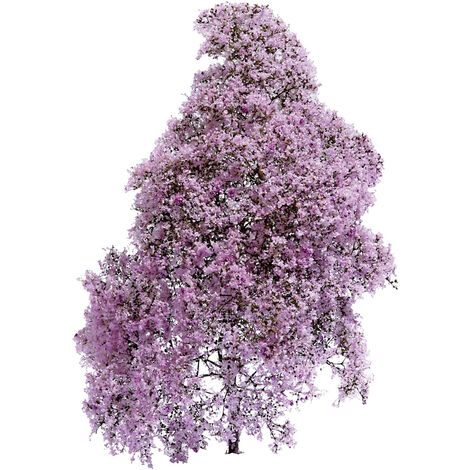Busch 3587 Busch Frühling  Lila, Blühend