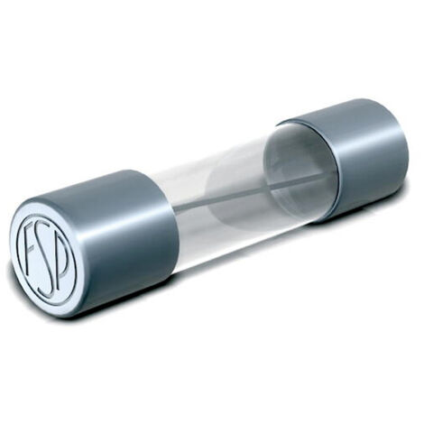 Püschel Feinsicherungen 129.000 4A G-Sicherungseinsatz (Ø x L) 5 mm x 25 mm 4 A 500 V Mittelträge -