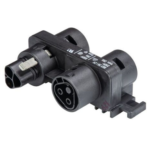 Wieland Electric 46.030.1253.1 Rundstecker Verteiler Gesamtpolzahl: 2 PE Serie (Rundsteckverbinde Wieland Electric 46.030.1253.1 Rundstecker Verteiler Gesamtpolzahl: 2 PE Serie (Rundsteckverbinde