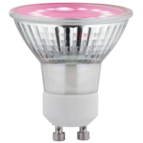 Paulmann LED-Pflanzenlampe Wachstum 230 V GU10 3.5 W Bernstein 1 St.