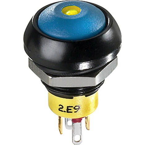 CM30 19mm Edelstahl Schalter (rastend) Flach | Schalter (rastend