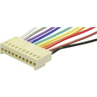 econ connect Steckbuchse mit Litze Polzahl Gesamt 10 Rastermaß: 2.54 mm PS10 1 St.