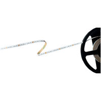 Barthelme Basic 120 51540914 LED-Streifen mit offenem Kabelende 24 V 5 m Blau 1 St.