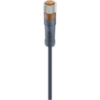 Lumberg Automation 18213-1 Sensor-/Aktor-Steckverbinder, konfektioniert M8 Buchse, gerade 5.00 m Pol