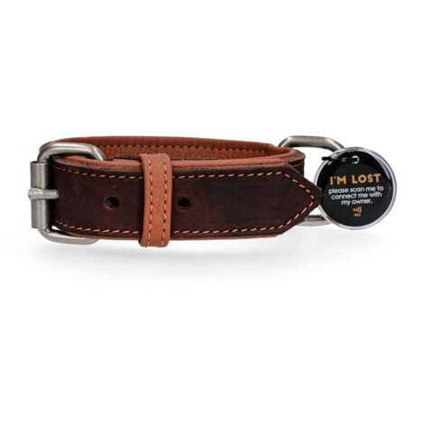 BRONZEDOG Lederhalsband Mit QR-Tag – Verstellbar Für Kleine Hunde & Katzen, Lila Mit Goldener Schnalle
