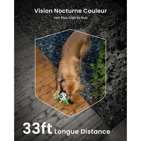 Caméra Surveillance IeGeek 2K Sans Fil - Vision Nocturne Couleur - Détection AI/PIR - Étanche IP65 - 2 Pièces