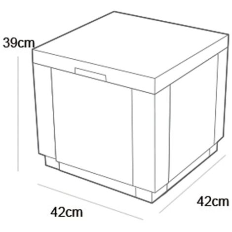 Ice Cube brn 030 std