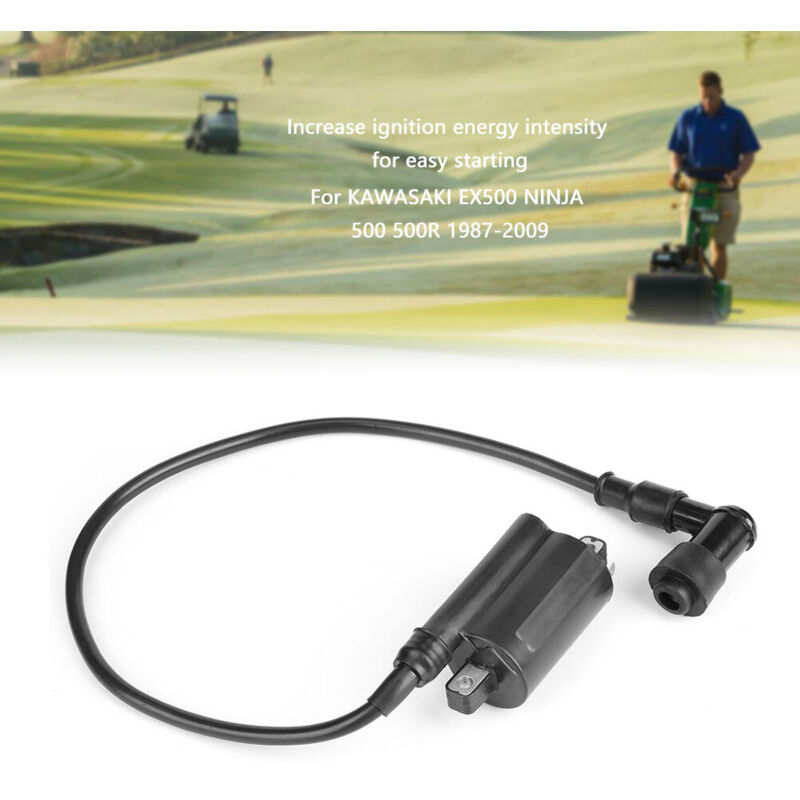 Bobine D'Allumage Denso 129700 - Compatible 2653 GAS 260265285320425445455 F725 F911