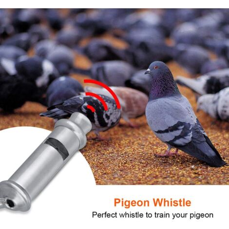 Appeau Pigeon Ramier BUCK EXPERT